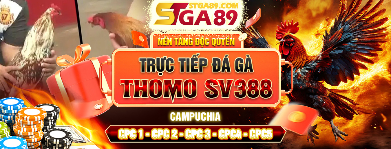 banner-stga89-1 (1)